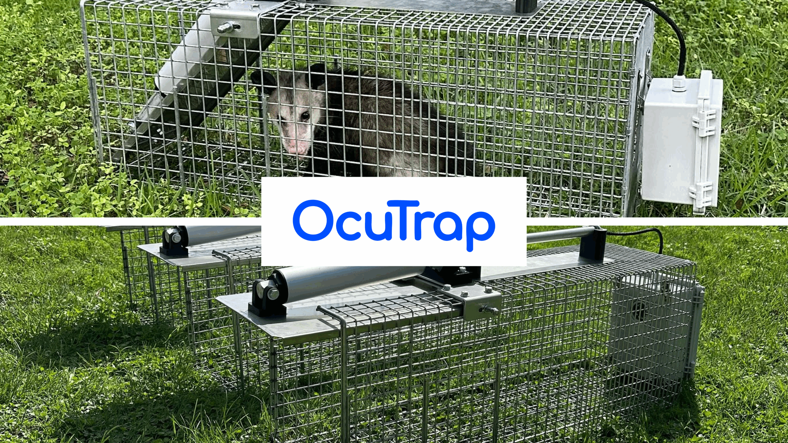 OcuTrap Scales in Texas with Cubework’s Flexible Warehouse
